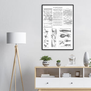 A Voyage to New Holland in the Year 1699 by William Dampier - framed print - ready to hang