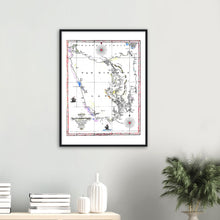 Van Diemens Land, Evans 1821 -hand coloured framed print - ready to hang